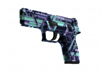 P250 Digital Architect